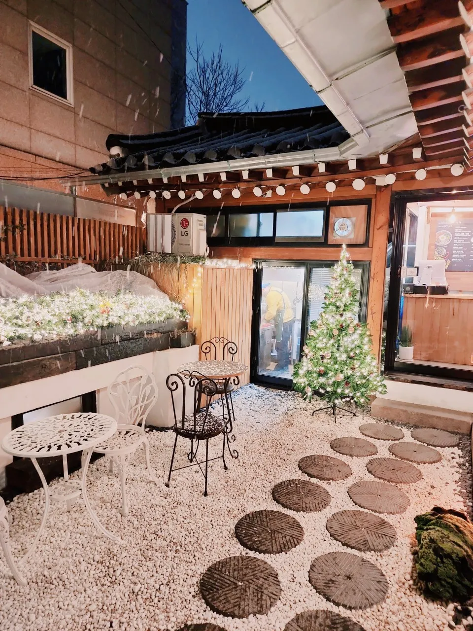 Vegan Insa — photo